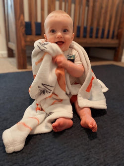 Custom Personalized Plush Baby Blankets