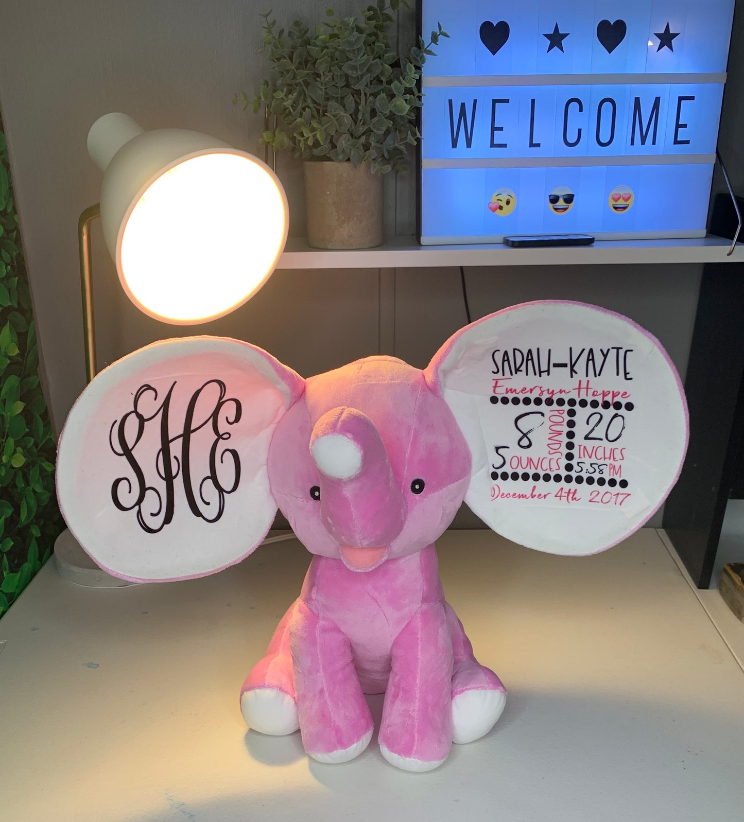 Birth Stat Elephants